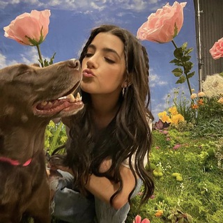 Логотип @cherrymiis - ♡︎ЧАТИК♡︎