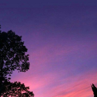 Логотип @cherrymusicchat - Cherry music 🍒