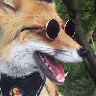 Логотип @cheshirefoxcos - Cheshire Fox