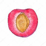 Логотип @chesiiv - ЧЕРНОСЛИВ