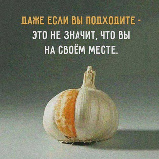 Логотип @chesno_komi - CHESNOKomi