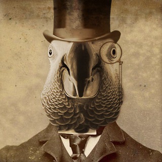 Логотип @chesnospyzdyla - Папук поцупив🦜