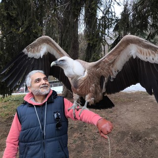 Логотип @chessemin - Мысли шахматиста