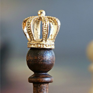 Логотип @chesstimes - Chess Times - Шахматы