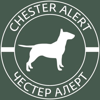 Логотип @chesteralert - Chester Alert
