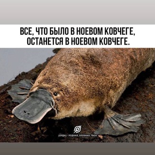 Логотип @chetvergovie - Четверговые