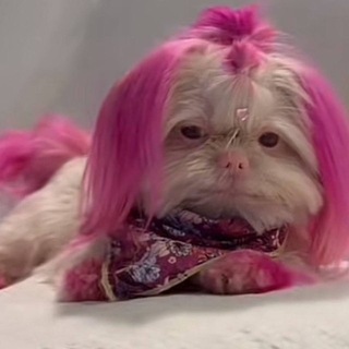 Логотип @chetverkam - четвёрка