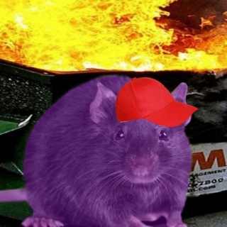 Логотип @chevauchee - 🗿; Chevauchée