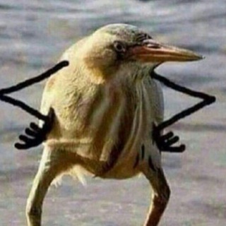 Логотип @chezdesproishodit - Че у нас здесь происходит