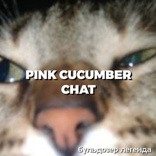 Логотип @chhhhaaattt - 🛐Chat🛐