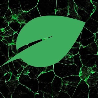 Логотип @chiadogenews - Chia - Doge news | чиа коин новости