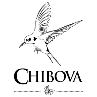 Логотип @chibova - CHIBOVA