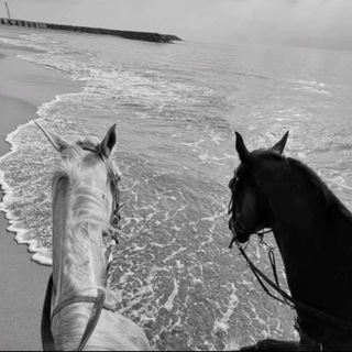 Логотип @chiganskie_pesni - 𝐆𝐲𝐩𝐬𝐲_𝐦𝐮𝐬𝐢𝐜_ 𝟗𝟗𝟗