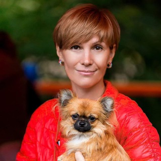 Логотип @chihuahua_fair_fortuna - Чихуахуа_Fair_Fortuna