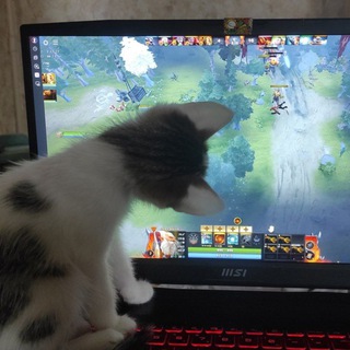 Логотип @chikibrikidota - Chikibriki