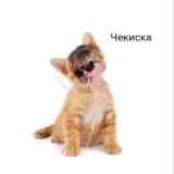 Логотип @chikist_chattt - ЧАТ ГНК 💨🐈