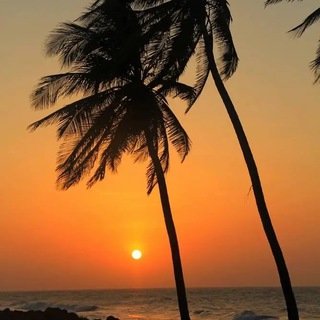 Логотип @chill_season - Бархатный Сезон