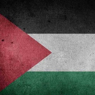 Логотип @chimaevtm - KhamzatChimaev