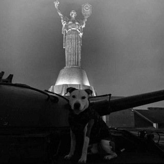 Логотип @chinaaaaa_ua - Чінаааа🇺🇦