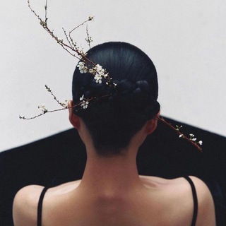 Логотип @chinaforsoul - Китайский Движ