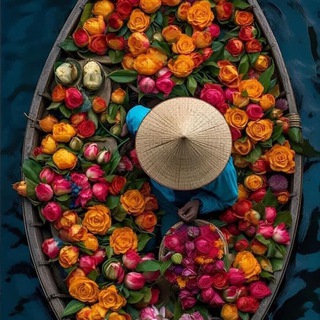 Логотип @chinese_lessons - китайский урок