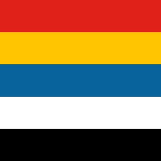 Логотип @chinesedemocracymovement - 中国民主运动策源地Chinese democracy movement