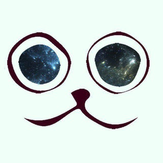 Логотип @chionews - PetruCHIO 😸 B.L.O.G