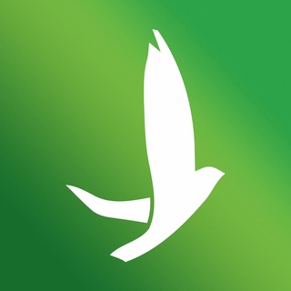 Логотип @chistiylist_official - ЧИСТЫЙ ЛИСТ. Юридическое агентство