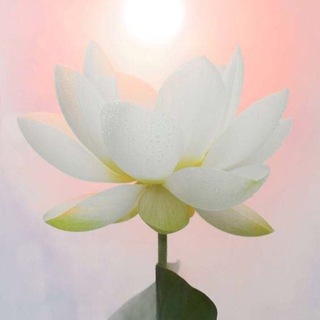 Логотип @chistoesozvuchie - Чистое созвучие/Ольга Неклюдова