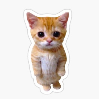 Логотип @chitarina - читарина?