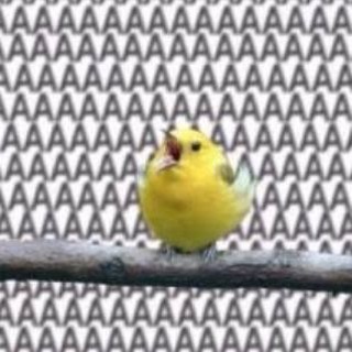 Логотип @chitayu_knigi_vsluh - Дневник читателя