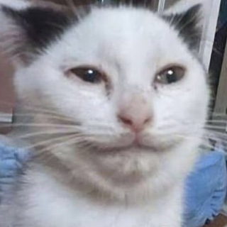 Логотип @cho_memes - Чё мемы да? Красавчик!