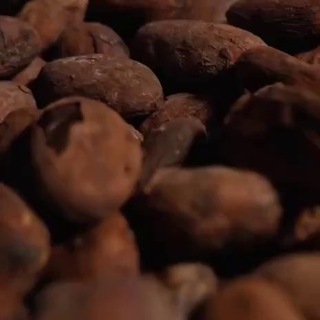 Логотип @choco_senses - CHOICE Шоколадный дневник