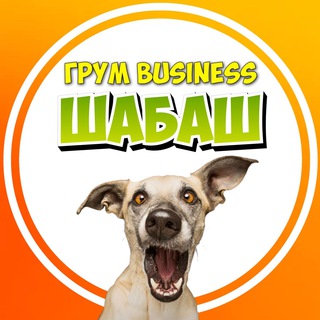 Логотип @chogroomer_businesschat - Business ШАБАШ 💰