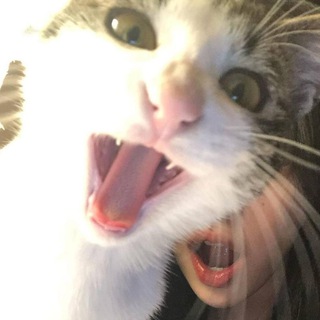 Логотип @chokemesister - меховая фабрика.mp4