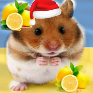 Логотип @chopp1x_to_million - Путь к миллиону🍋[chopp1x]