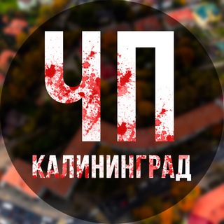 Логотип @chp_kaliningrad - ЧП Калининград