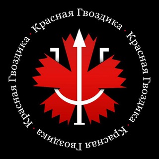 Логотип @chp_live - Красная Гвоздика