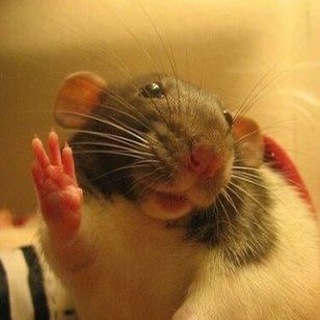 Логотип @chrisbulbul - СЛИВ НА ЧРИСА БУЛЬБУЛЯТОРА.