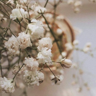 Логотип @christian_rubrik - Коментарі