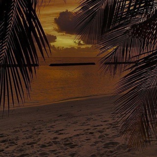 Логотип @christianbbl - Jesus is my life 🕊🤍