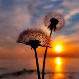 Логотип @christianbog - Християнське