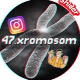 Логотип @chromos0ma_chat - Лишняя Хромосома чат