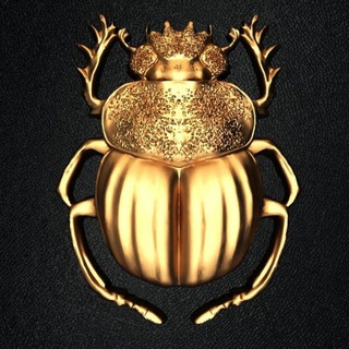 Логотип @chronicle_of_a_beatle - Летопись жука (Исторический канал | History)