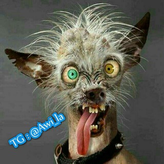 Логотип @chswoch_bcha - 🔥💥ለጭሶች❤ብቻ🔥💥ያልሆነ ይውጣ🌟🎱