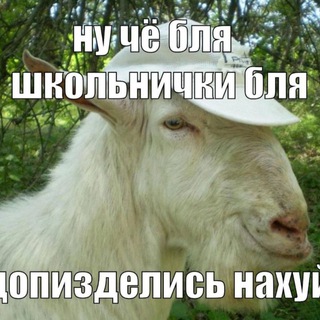 Логотип @chto_to_ot_kogoto - Что-то от кого-то