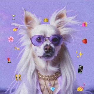 Логотип @chto_za_caca - ну што за цаца💅🏻