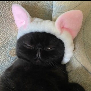 Логотип @chtoizachem - Саша пишет, а потом думает