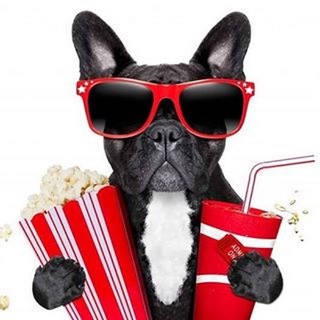 Логотип @chtoposmotretchat - Что Посмотреть🦦Чат🎞