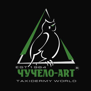 Логотип @chucheloartru - 🇷🇺 "ЧУЧЕЛО-ART" 🇷🇺 таксидермия, любые чучела, трофеи, охота, рыбалка, природа, животные, птицы, рыбы, выделка шкур, ковры